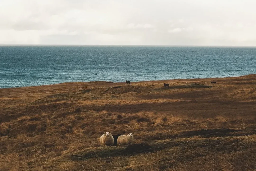 Iceland